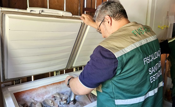 FVS realiza monitoramento de saúde durante Festa do Cupuaçu, no Amazonas