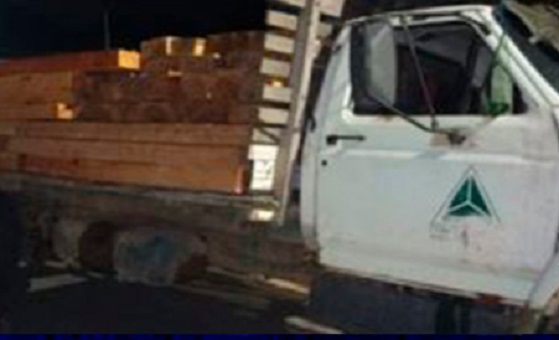 Idoso é preso ao transportar madeira ilegal no Amazonas