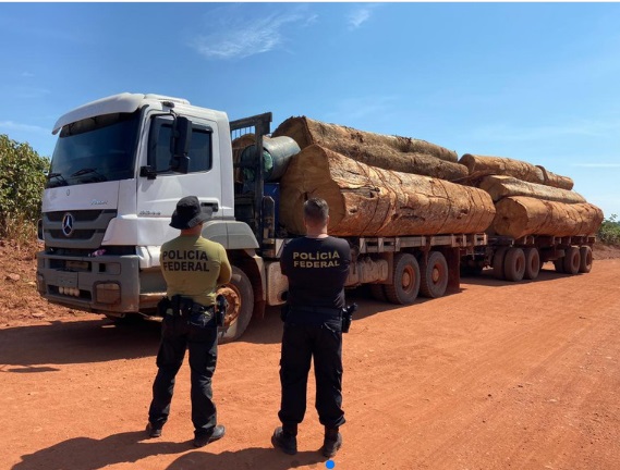 PF apreende caminhão com madeira ilegal extraída de terra indígena