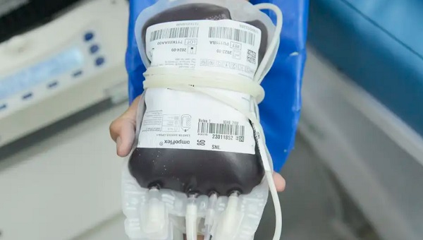 Aplicativo facilitará doações de sangue no Brasil; saiba mais