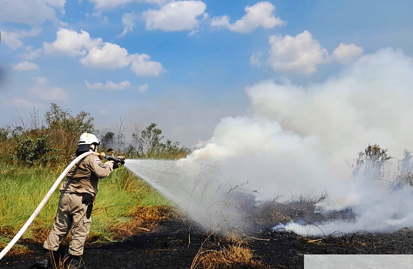 Borba ganha reforço para combater focos de incêndio no Amazonas