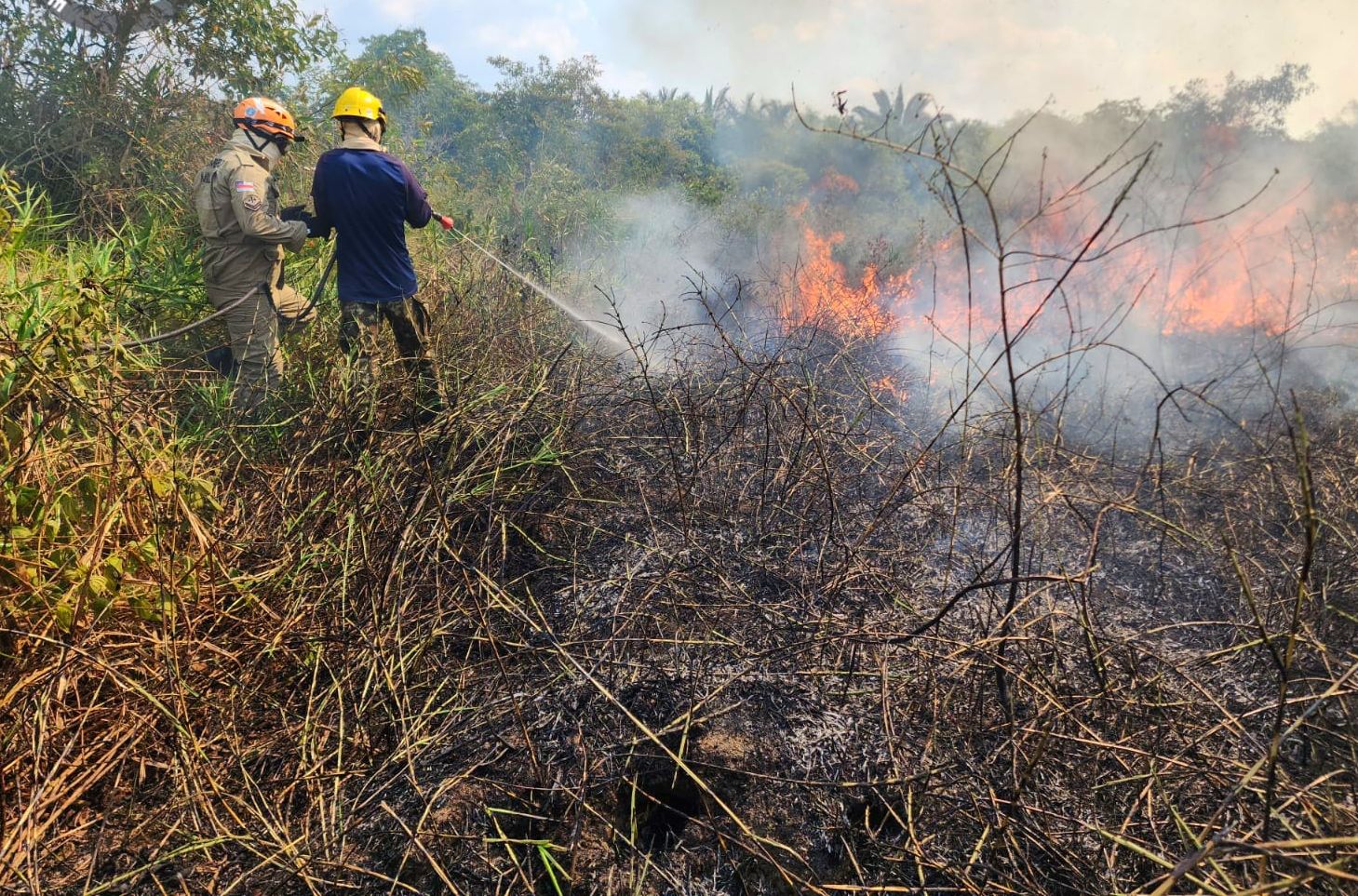 Em mais de um mês, 160 focos de incêndio são combatidos no sul do Amazonas