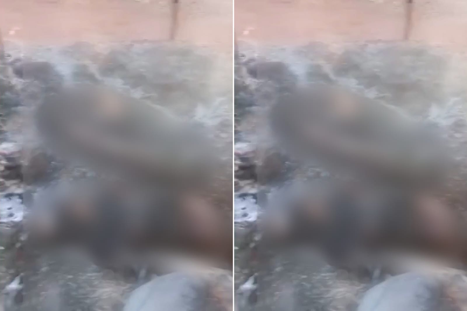 Líder religiosa e marido têm corpos carbonizados em aldeia indígena 