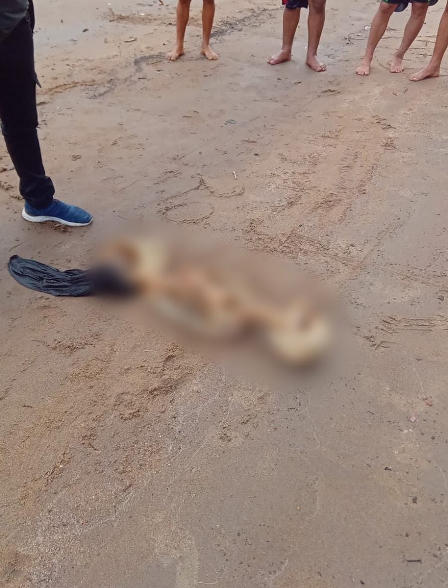 Banhistas encontram ossada humana na praia da Ponta Negra, em Manaus 