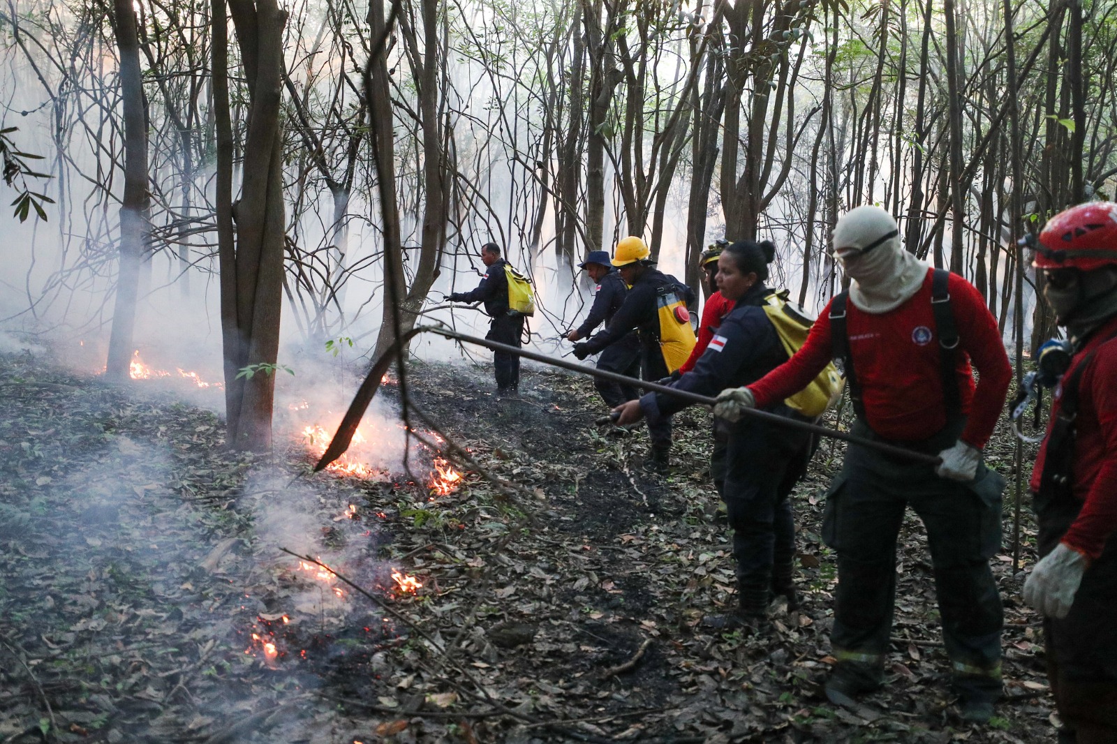 Incêndio de grandes proporções atinge área de mata no Iranduba
