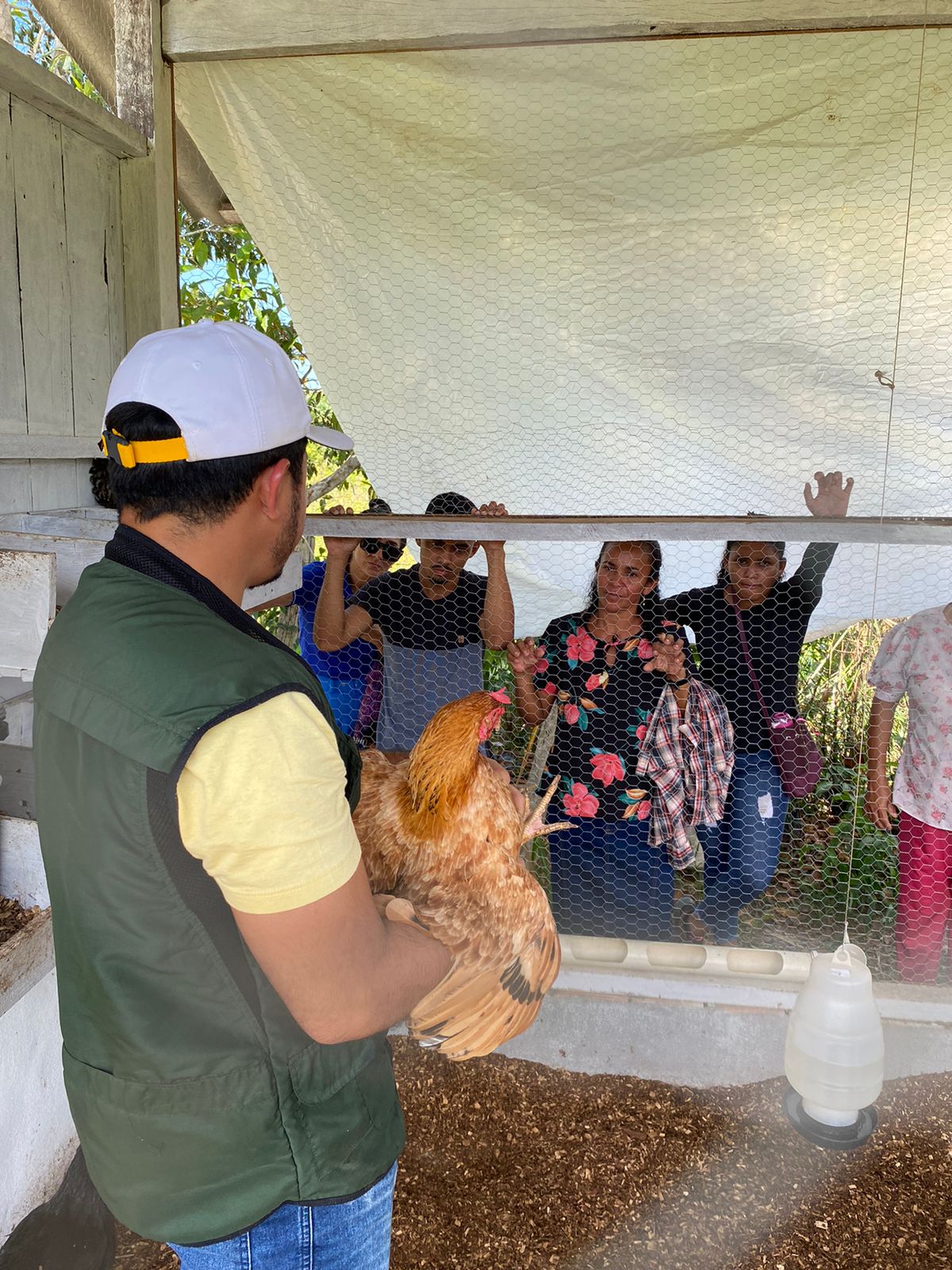 Idam orienta produtores sobre manejo de aves durante estiagem no Amazonas