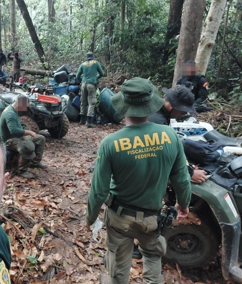 Ibama flagra grupo responsável por desmatar mil hectares de floresta no Amazonas