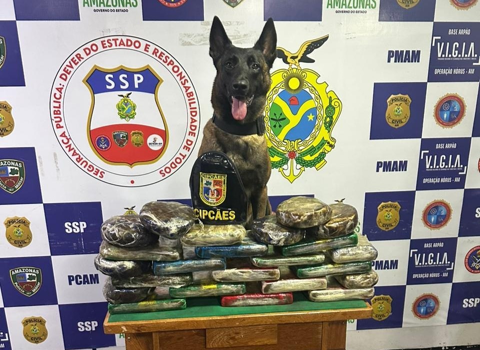 Cadela policial encontra 30 kg de cocaína escondidas em barco no Amazonas