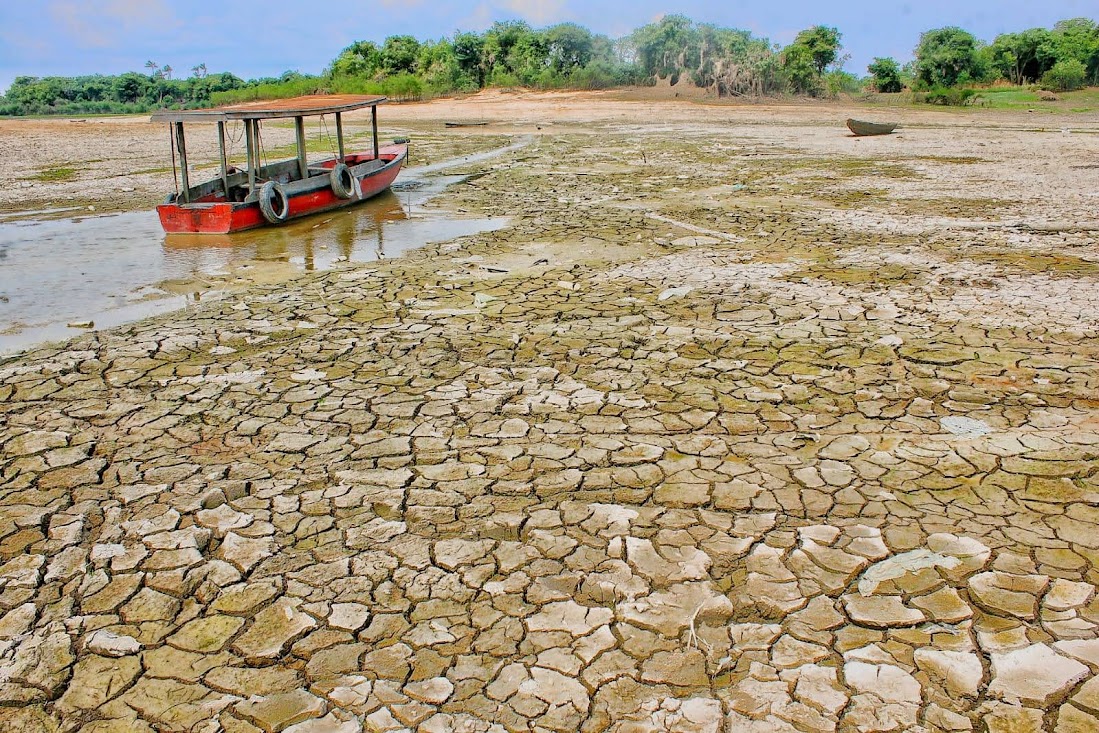 Amazonas está a menos de 80 centímetros de superar seca histórica de 2010