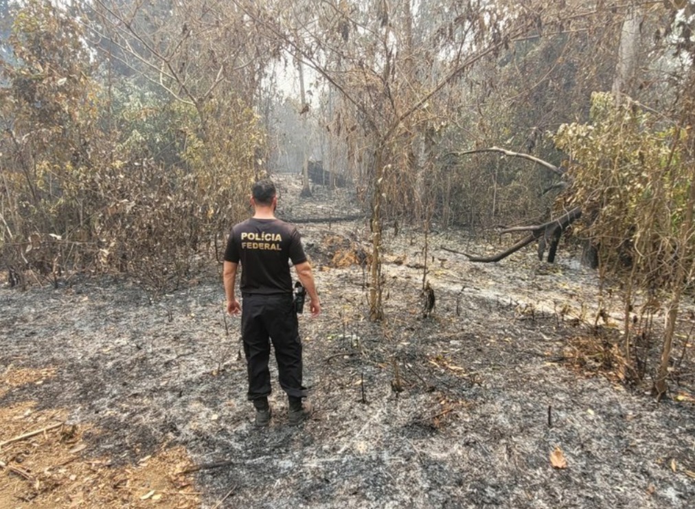 PF prende dois homens com galões de gasolina realizando queimadas em Manaus