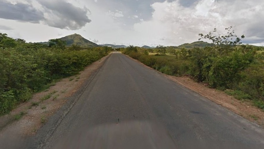 Motorista morre após bater carro contra cavalos na BR-174