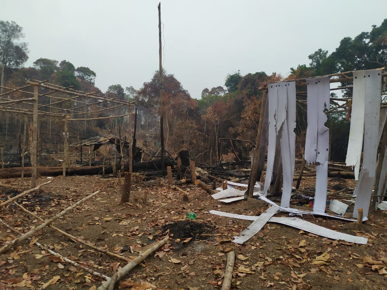 Polícia prende 64 pessoas queimando área verde em Manaus