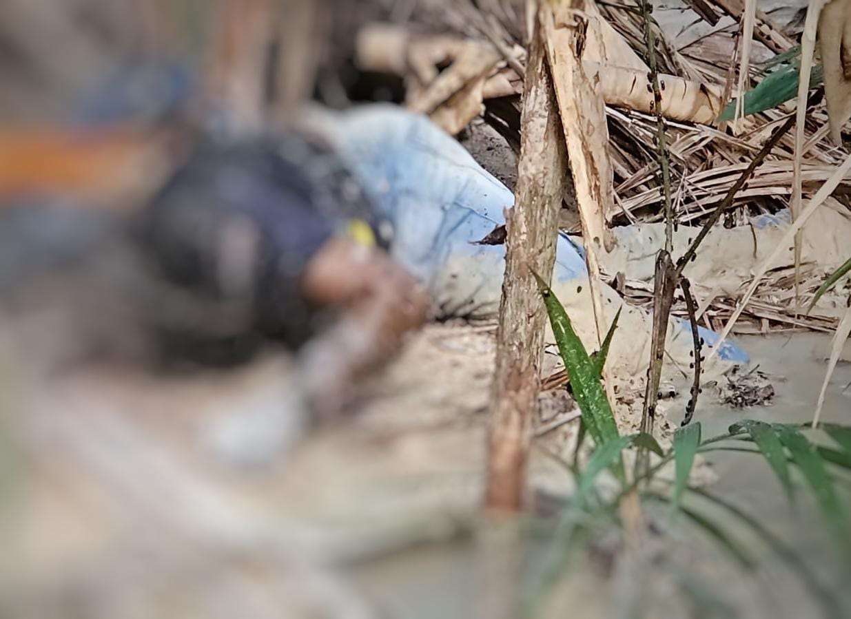 Moradores encontram corpo de homem em matagal de Manaus