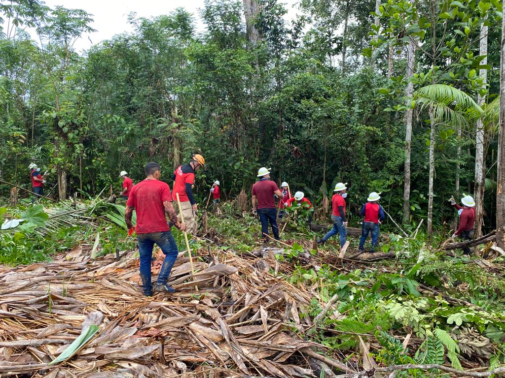 Novos brigadistas são formados para combater incêndios no Amazonas