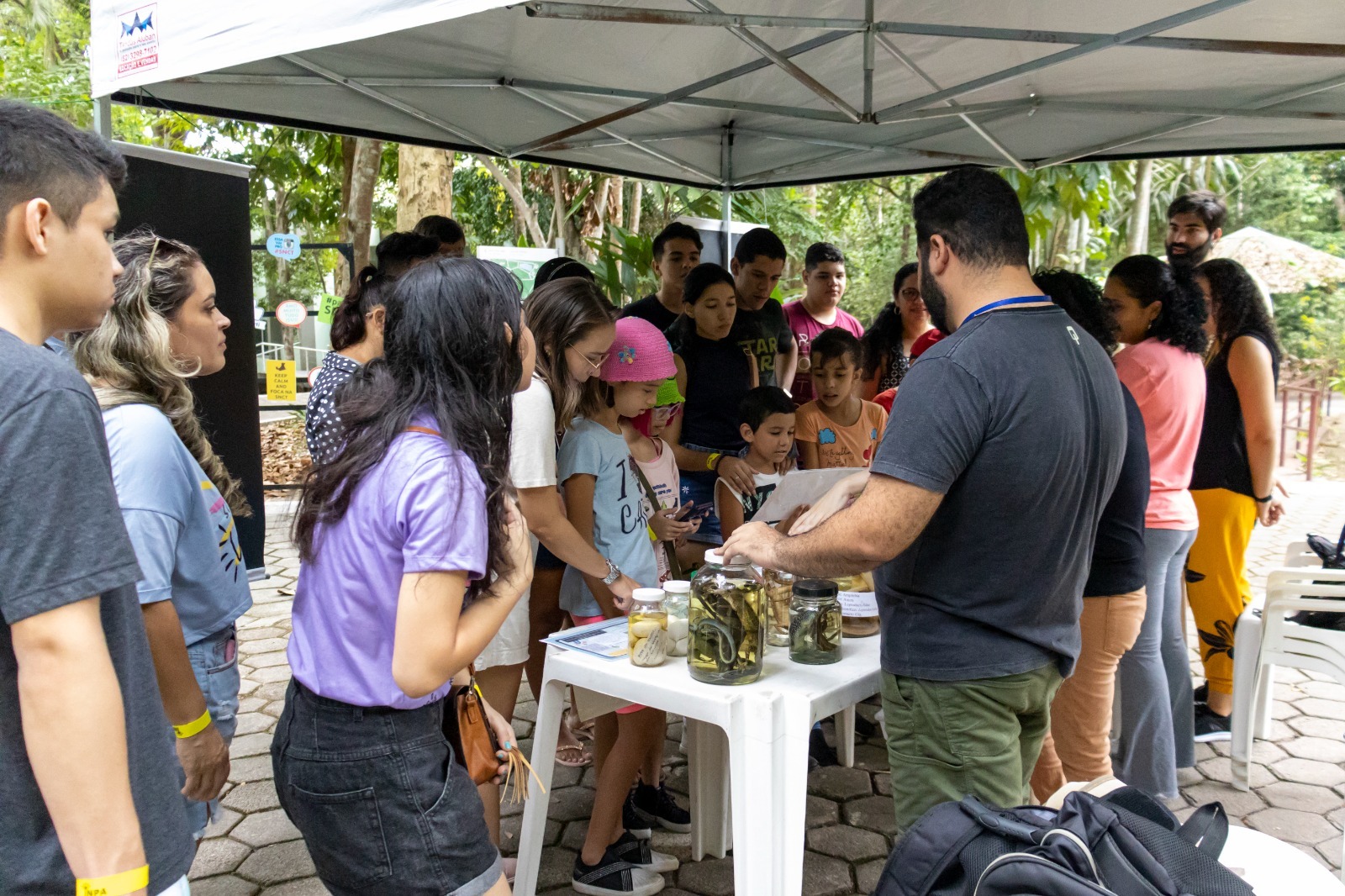 Estudo mostra impactos das mudanças climáticas na biodiversidade amazônica