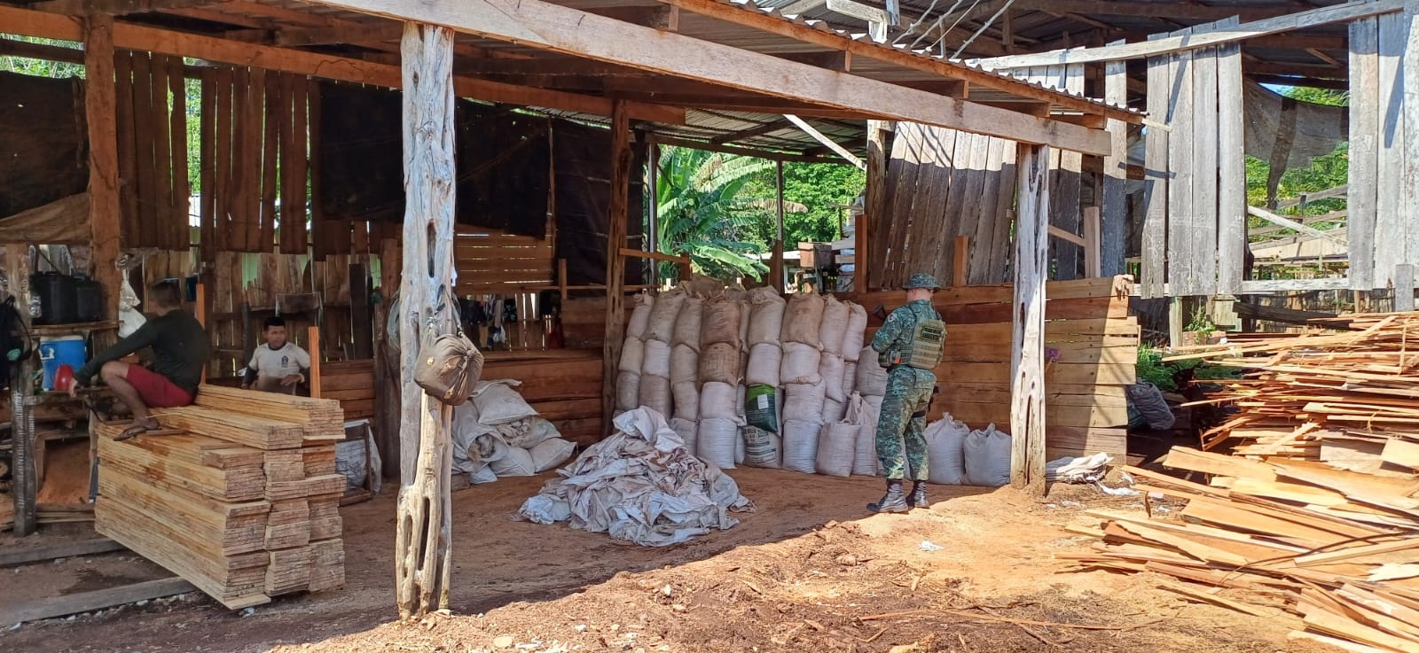 Homem é preso após vender madeira ilegalmente no Amazonas