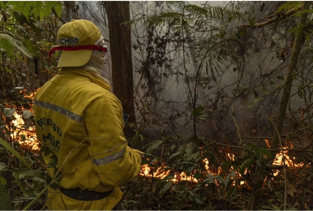 Em 2 semanas, focos de calor reduzem 78% no Amazonas, aponta Ibama