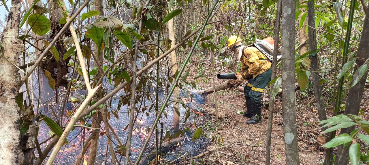 Brigadistas do Ibama ajudam a combater incêndios florestais no Amazonas 