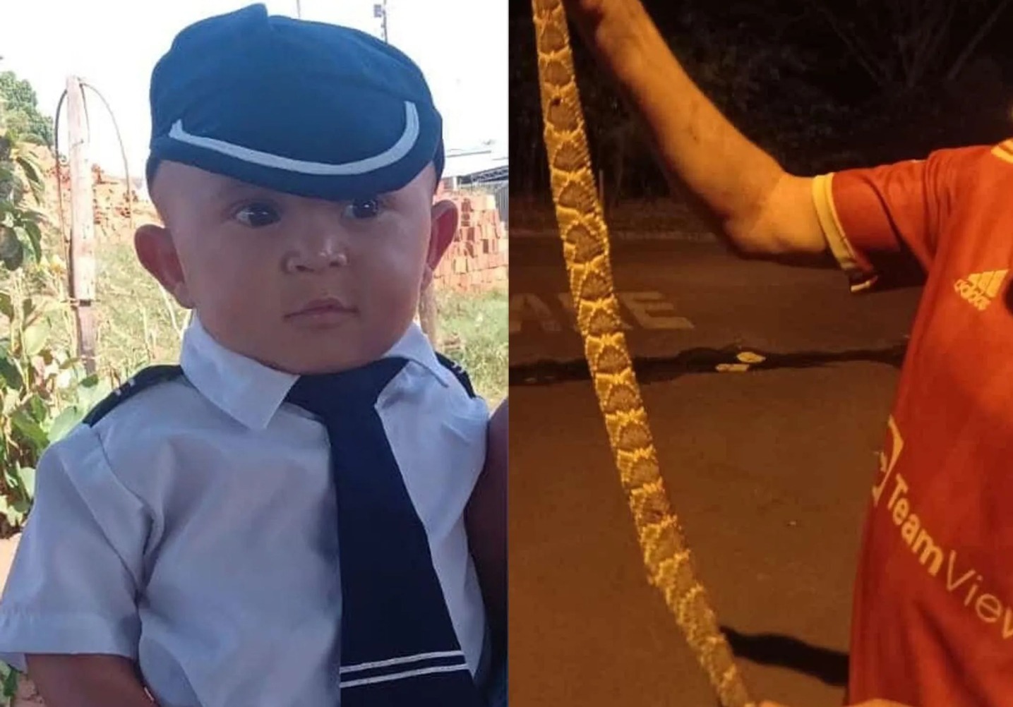 Bebê morre após ser picado por cobra em acampamento