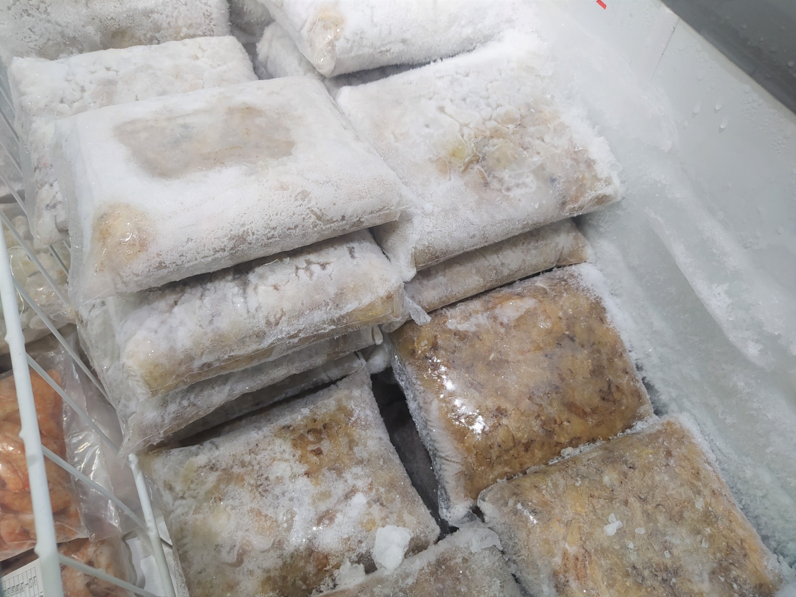 Fiscalização apreende 150 quilos de pescado irregular em Manaus