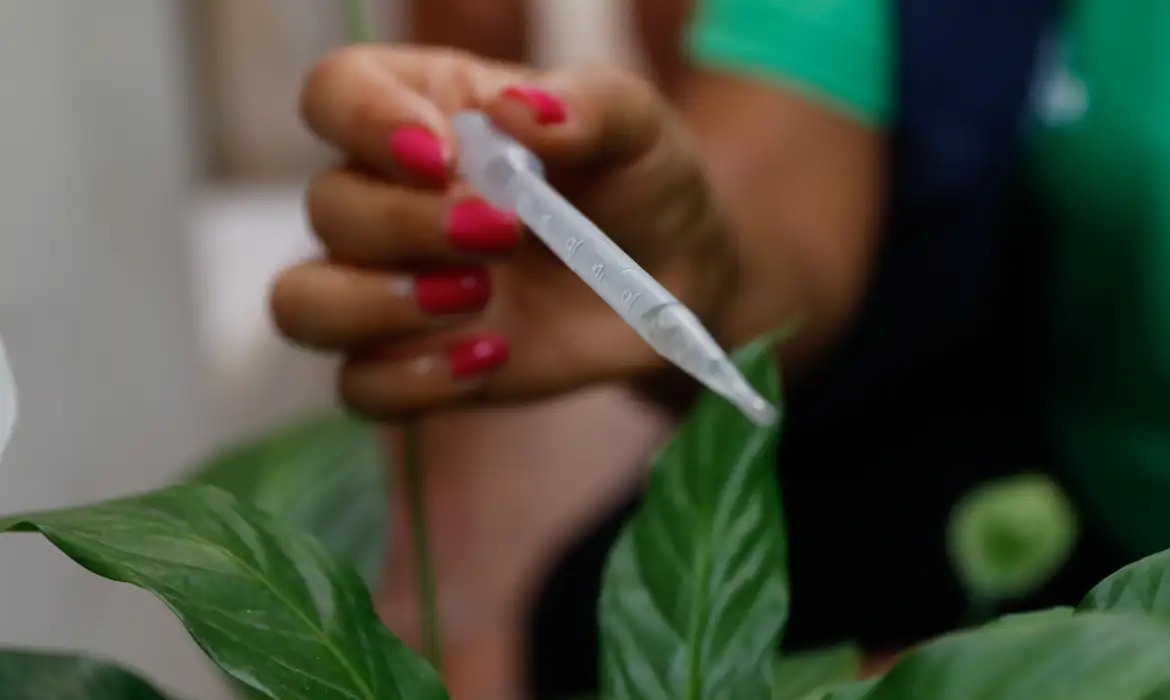 Vacina contra dengue deve ser incorporada ao SUS ainda este ano