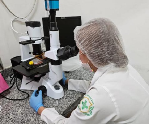 Estudo no Amazonas analisa bioativos naturais no tratamento do câncer