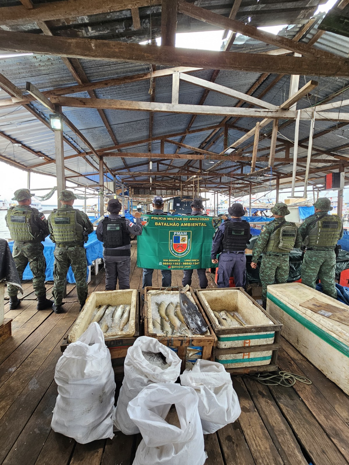 Pescado ilegal avaliado em R$ 18 mil é apreendido na feira da Panair em Manaus