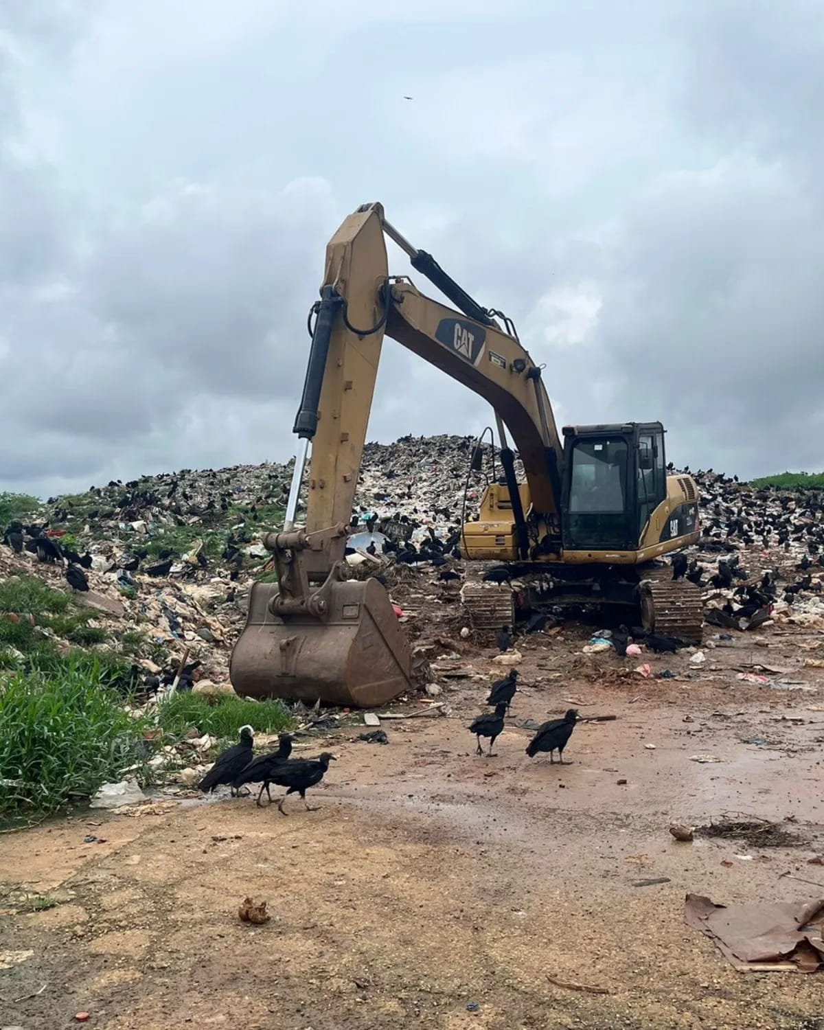 Ibama denuncia descarte irregular de resíduos sólidos no lixão de Tefé