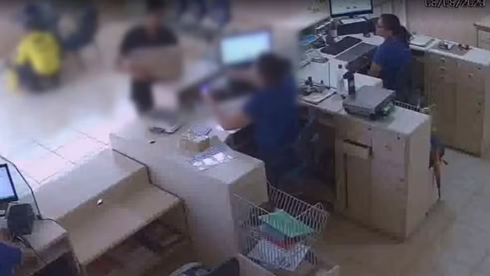 De jiboia a jacaré: Animais são achados em encomendas dos correios na BR-319