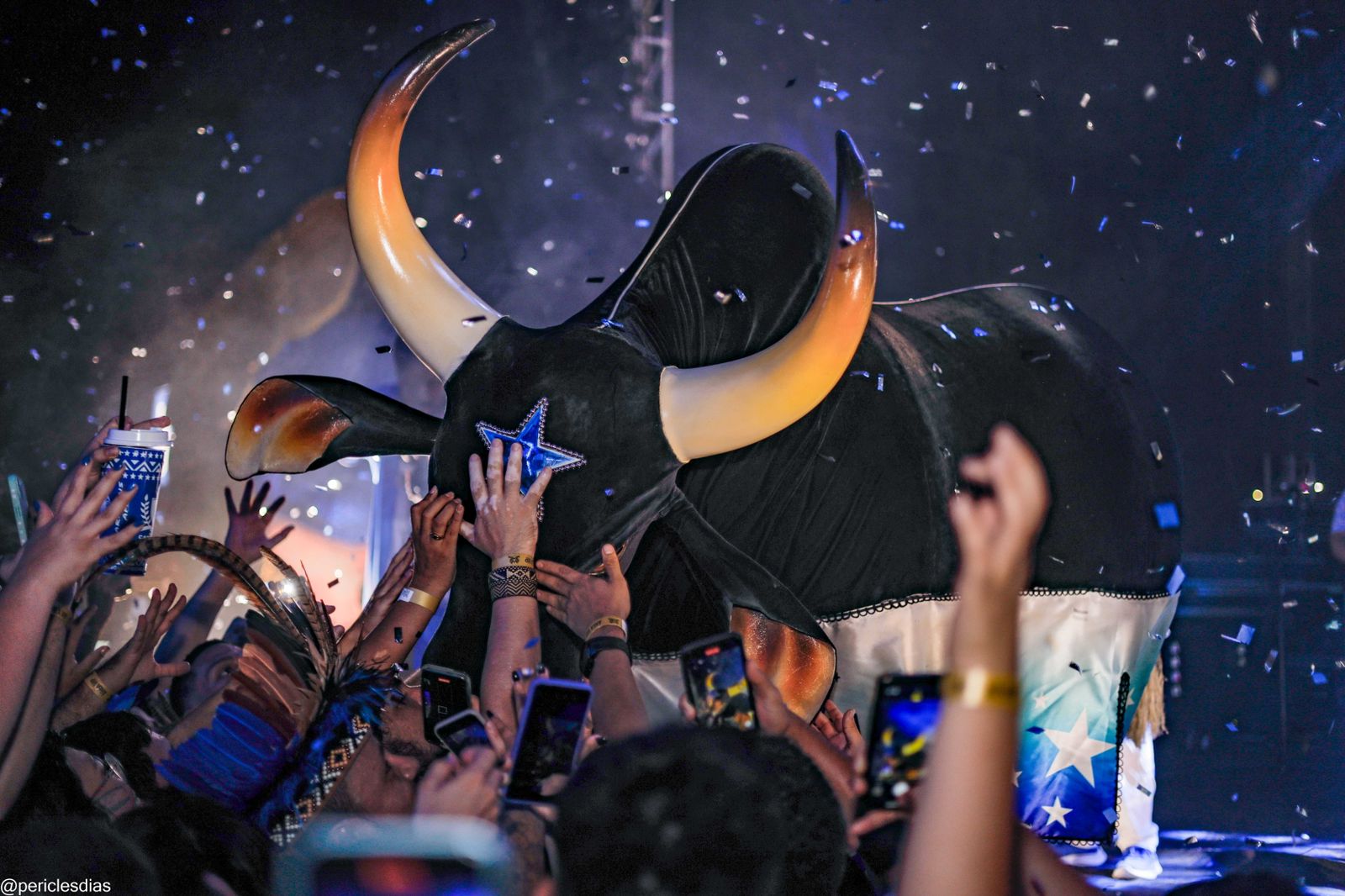 Povo Festeiro: Blog Azul abre temporada bovina do Caprichoso em Manaus