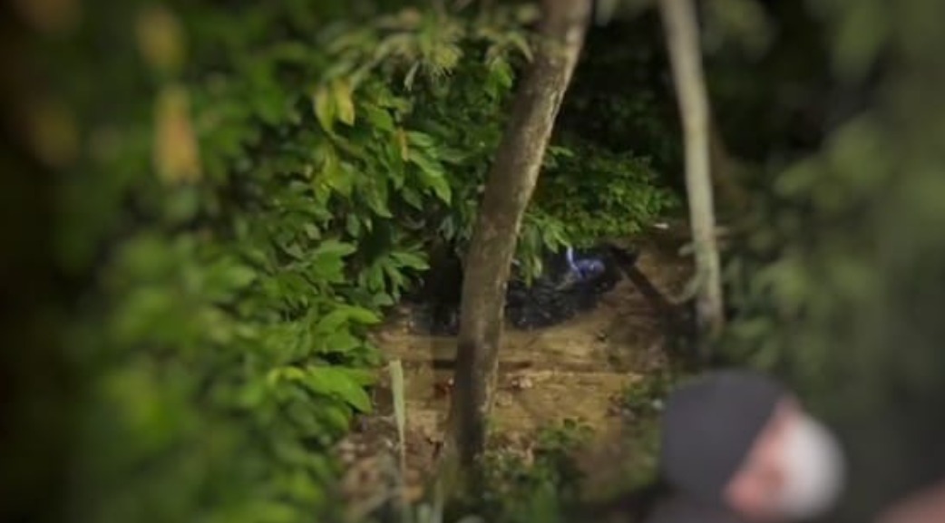 Com pescoço amarrado, corpo  é encontrado em área de mata no Dom Pedro