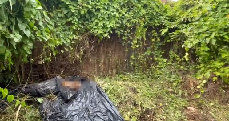 Trabalhadores encontram ossada humana enquanto capinavam terreno em Manaus