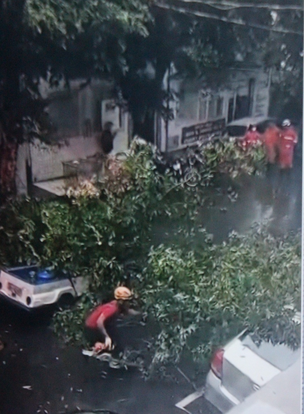 Árvore cai sobre motociclista durante forte chuva em Manaus
