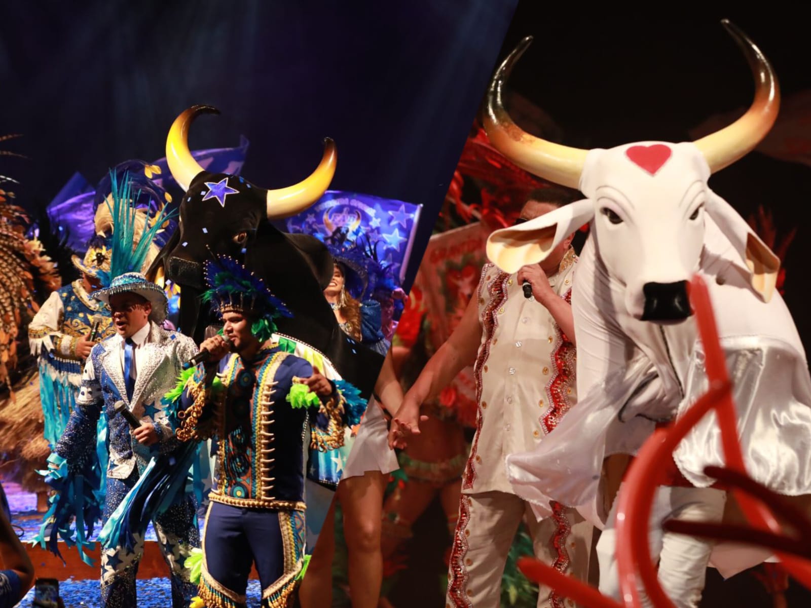 Garantido e Caprichoso apresentam programação da temporada bovina 2024