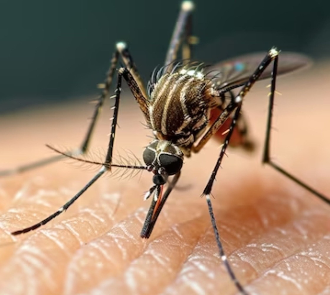 Dengue é mais letal para crianças menores de 5 anos, aponta levantamento