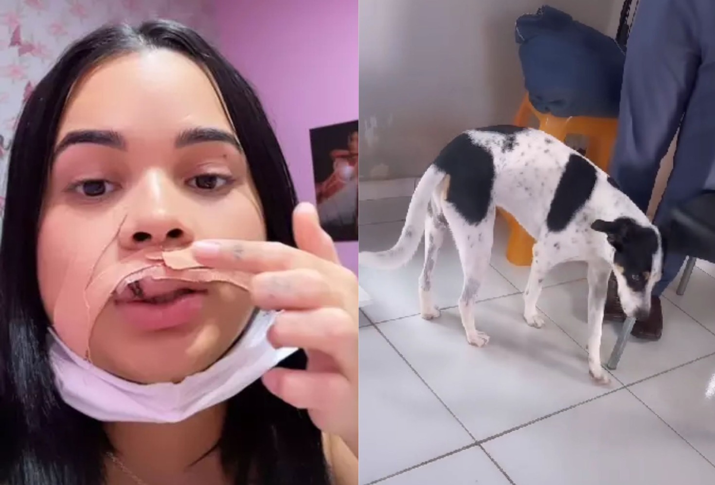 Modelo tem lábio arrancado ao tentar beijar cachorro