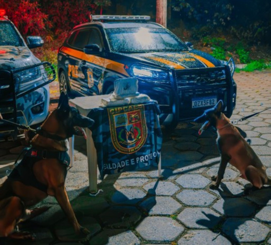 Passageira é presa com drogas escondidas em ônibus na BR-174