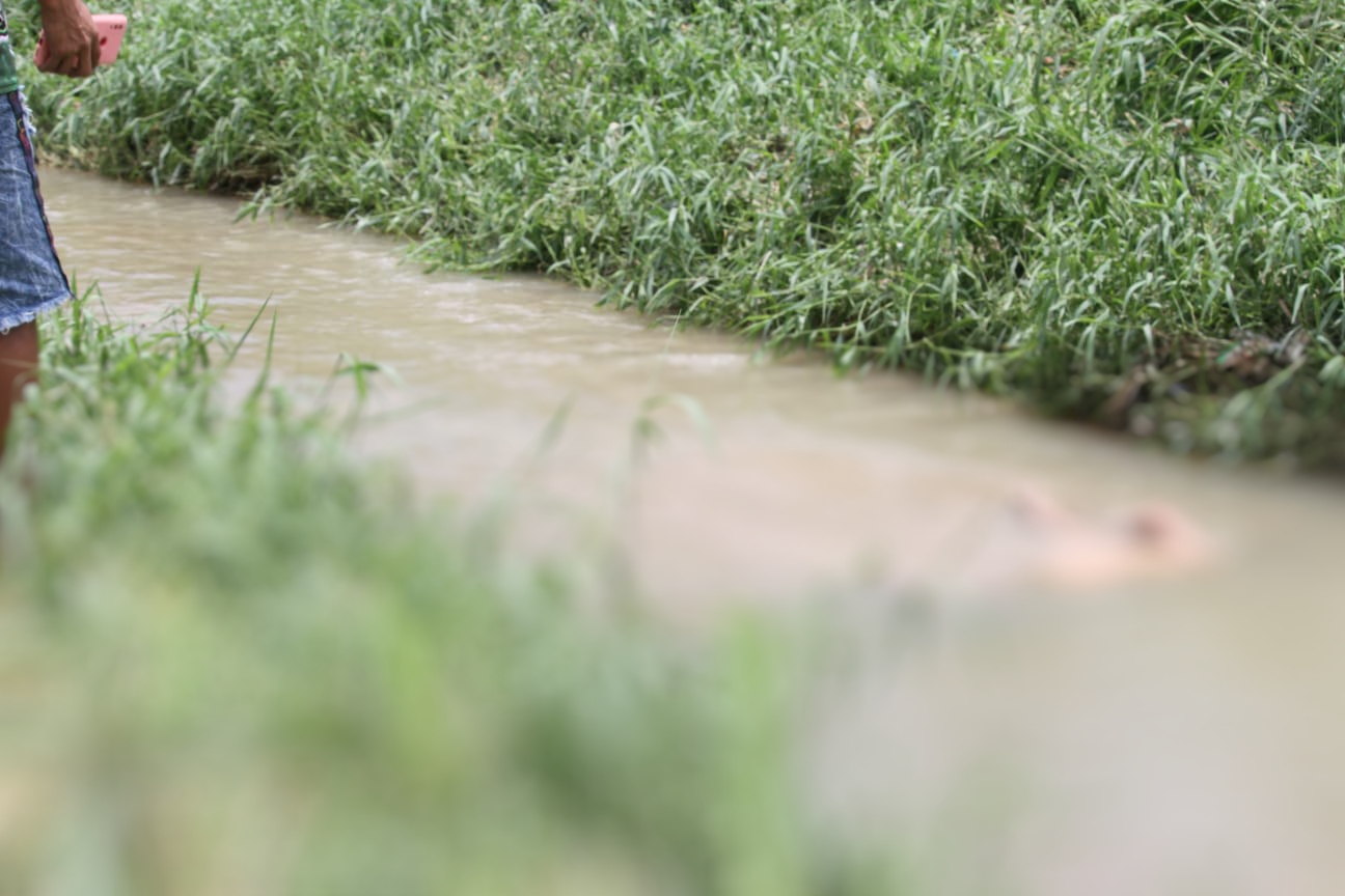 Corpo de homem é encontrado boiando em igarapé no Jorge Teixeira