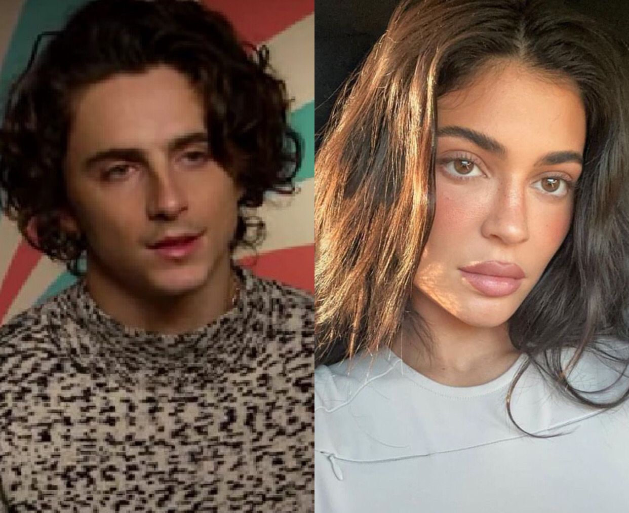 Kylie Jenner grávida de Timothée Chalamet? Equipe da socialite se manifesta