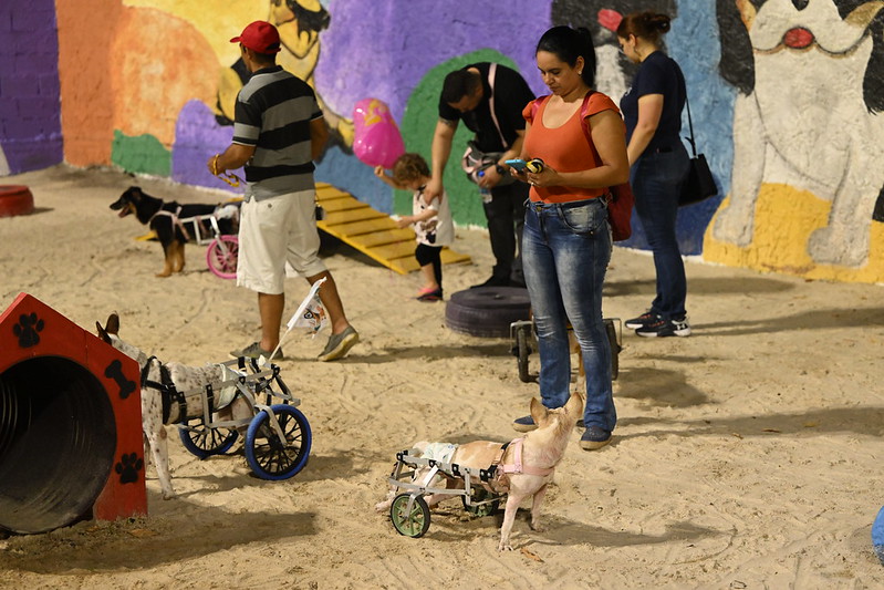 Primeira 'Praça PET' é inaugurada em Manaus