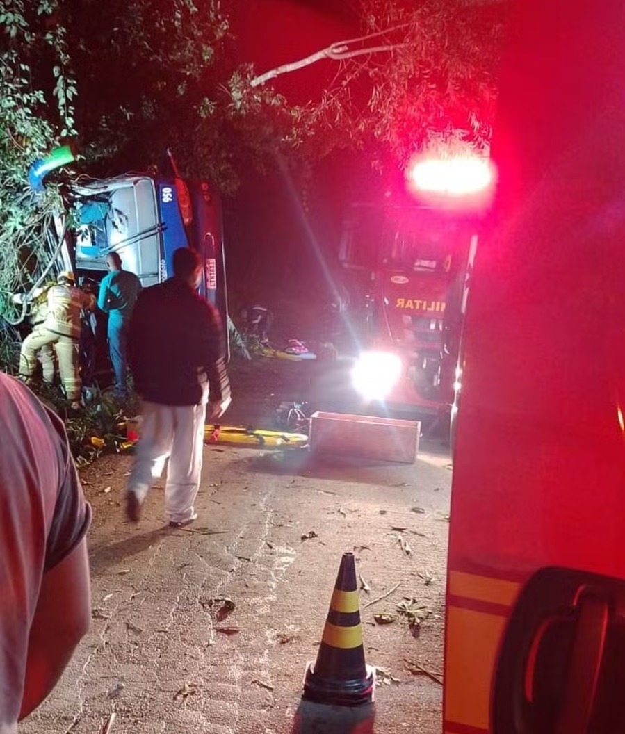 Ônibus desvia de cachorros em rodovia, capota e deixa sete mortos