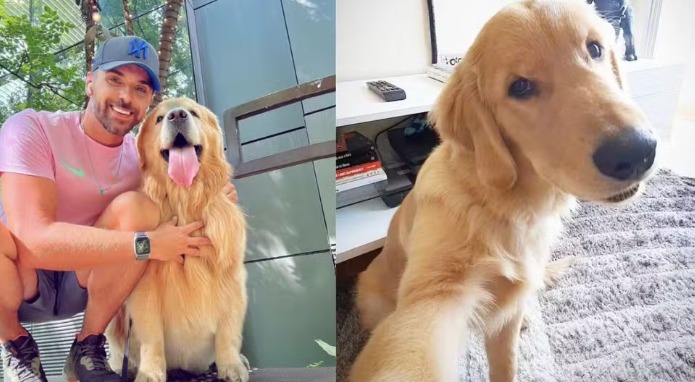 Golden morre após ser embarcado em voo errado da Gol 