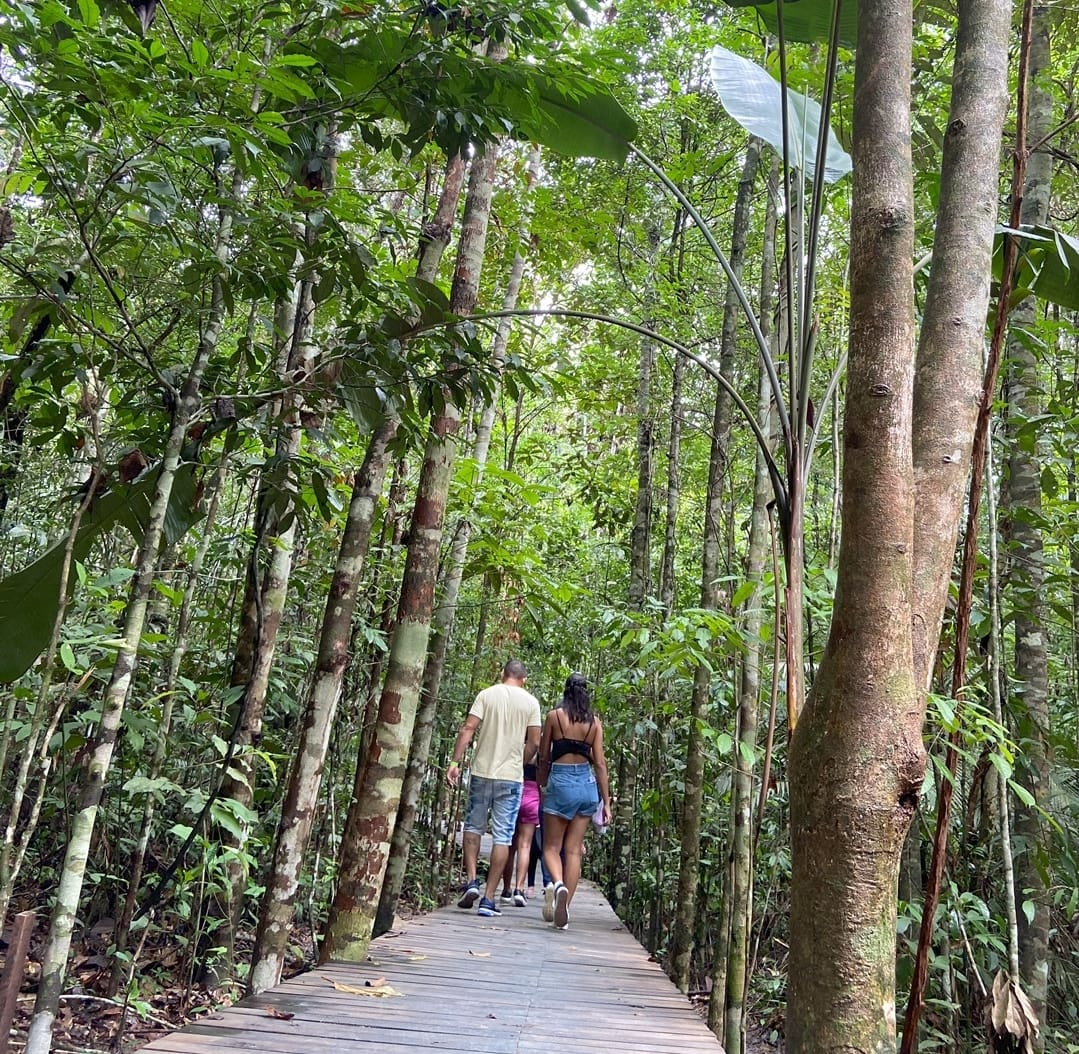 Museu da Amazônia terá entrada a R$10 no Dia do Trabalhador