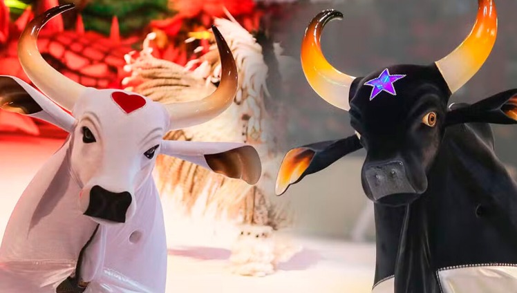 Garantido e Caprichoso serão homenageados em Brasília