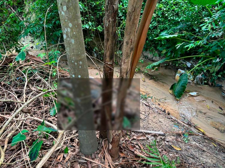 Moradores encontram corpo de homem apodrecendo em mata no João Paulo