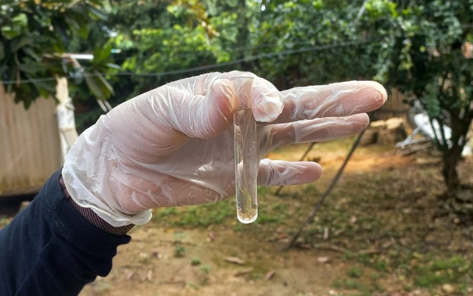 Casos de dengue chegam a 4.639 no Amazonas