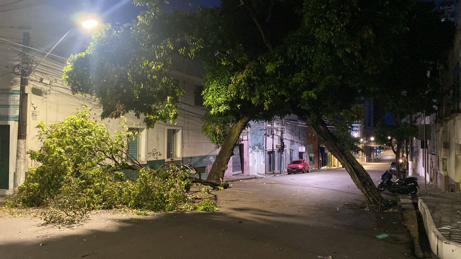 Parte de árvore desaba e bloqueia rua no centro de Manaus