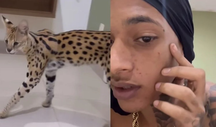 Oruam leva arranhão no rosto de gato 'selvagem', avaliado em R$ 100 mil 