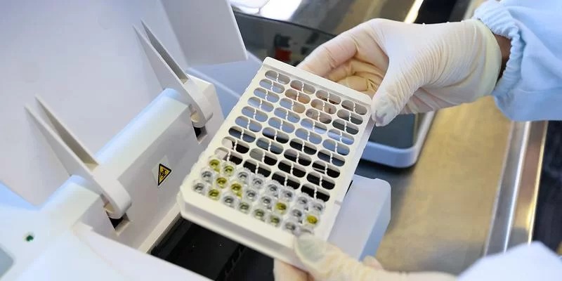 Rio Grande do Sul investiga mais de 800 casos suspeitos de leptospirose