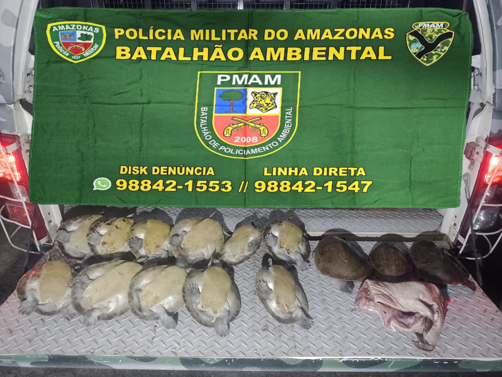 Mulher é presa por posse ilegal de 27 quelônios no Parque das Laranjeiras